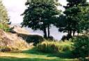 Image-04.JPG