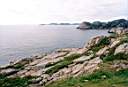 Image-20.JPG